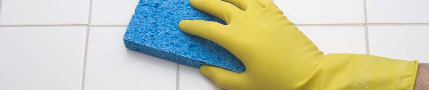 Horizon Janitorial Services